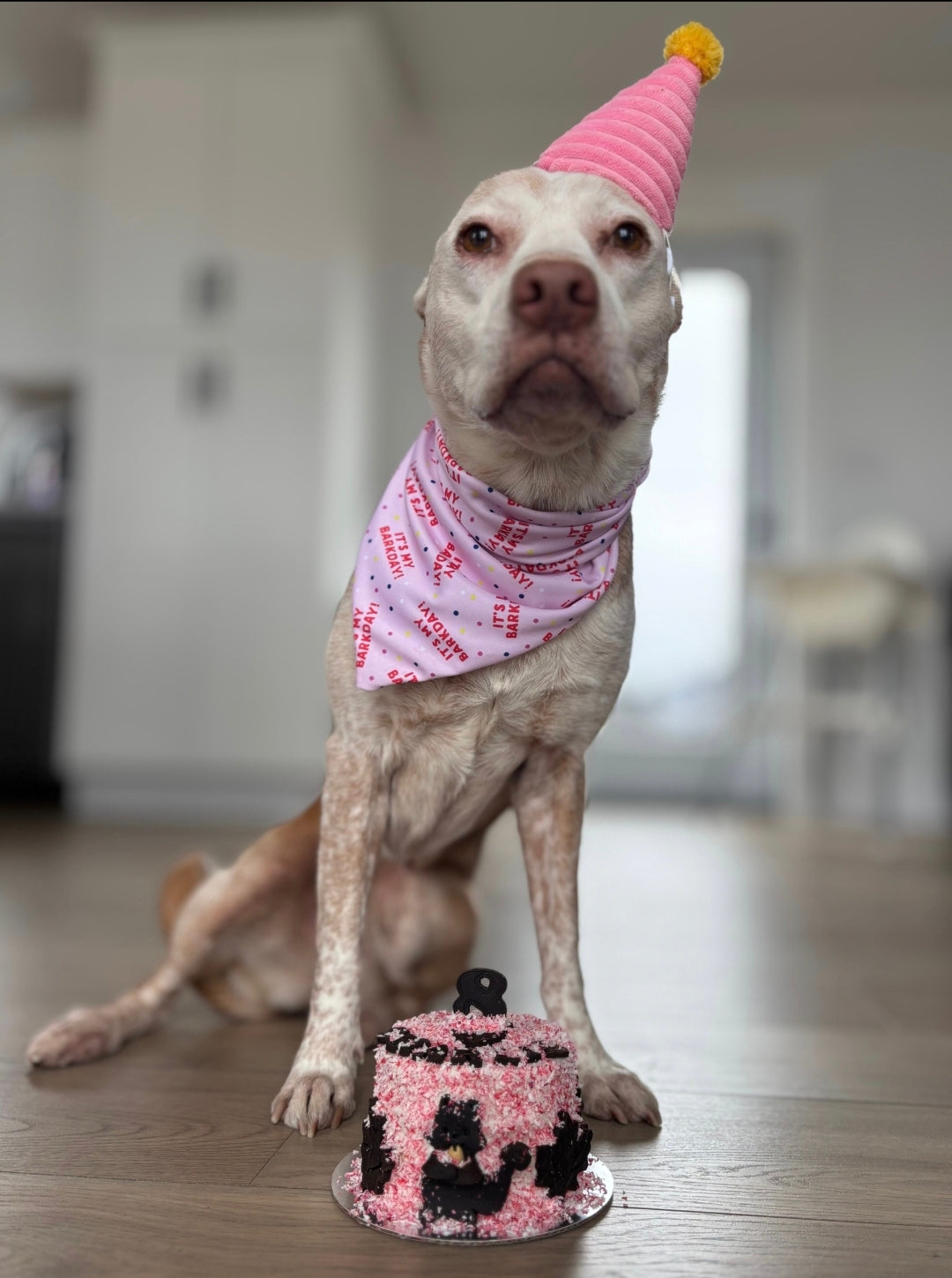 IT'S MY BARKDAY Bandana