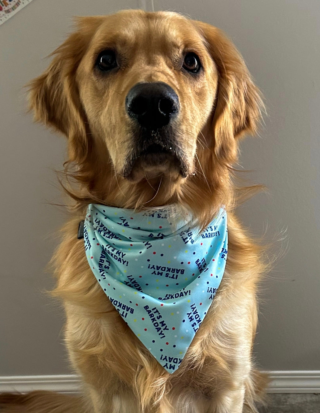 IT'S MY BARKDAY Bandana