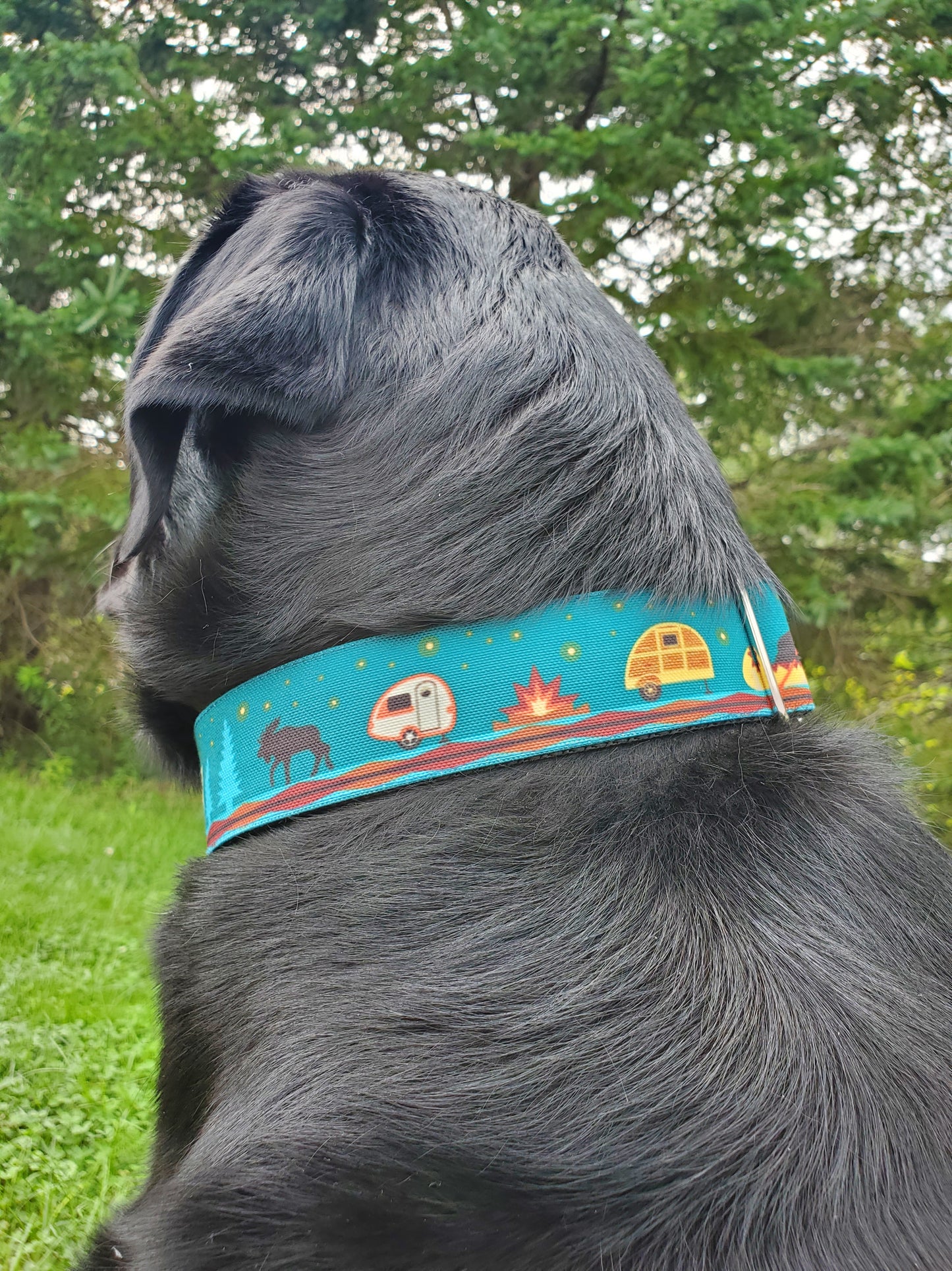 Camper Life Dog Collar