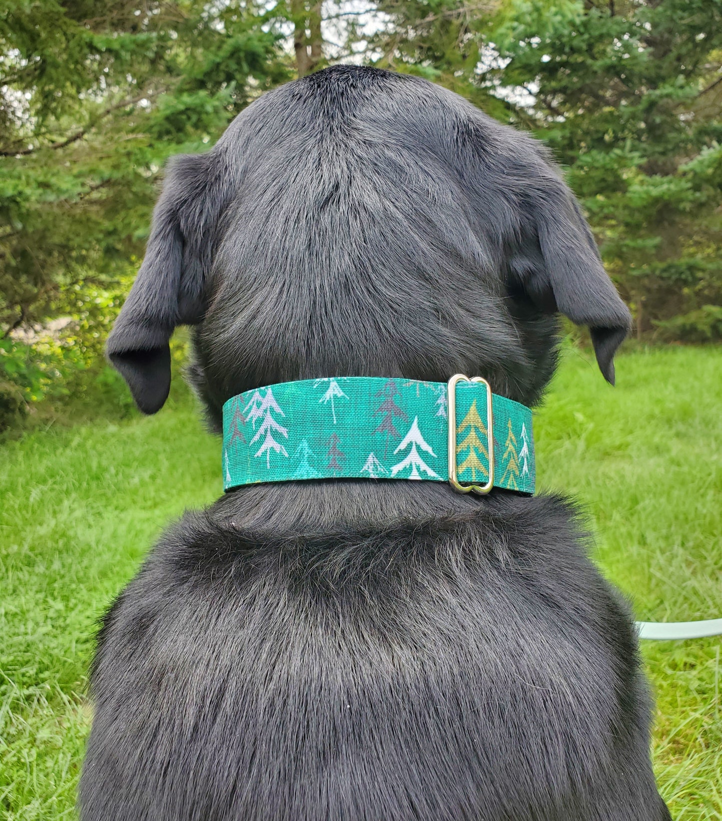Green Forest Dog Collar