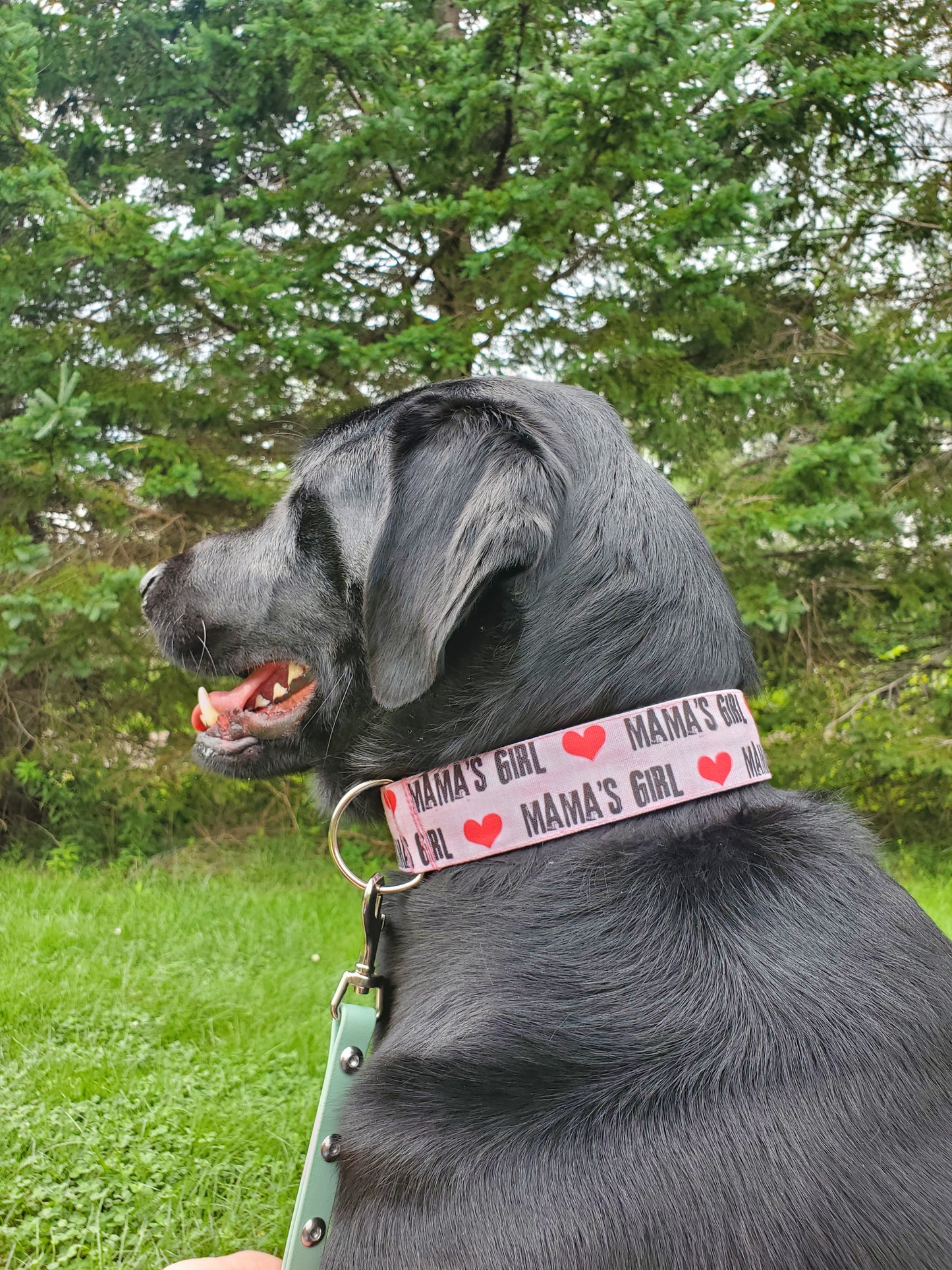 Mama's Girl Dog Collar
