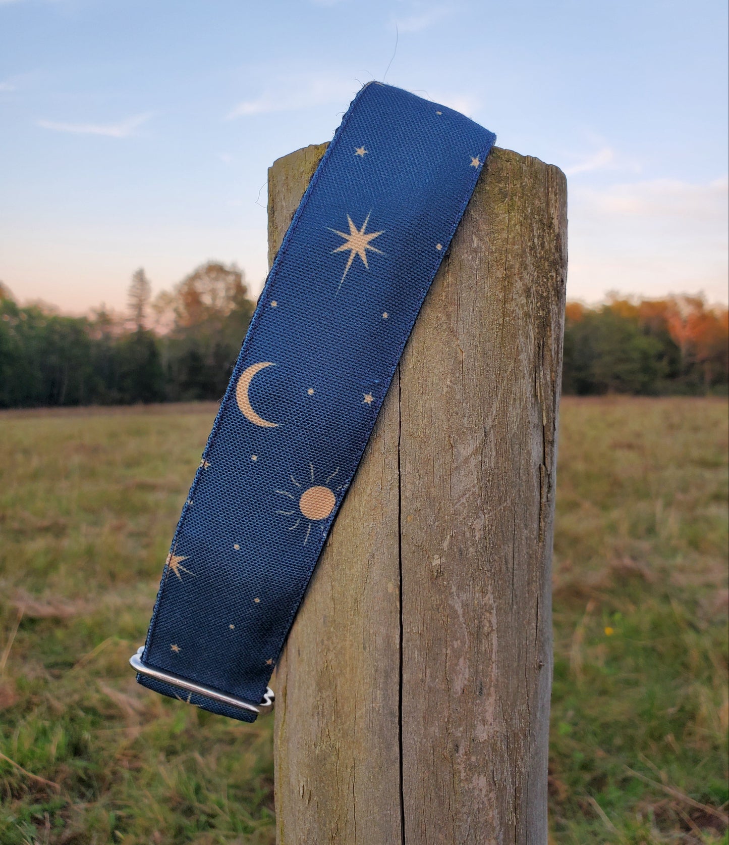 Night Sky Dog Collar