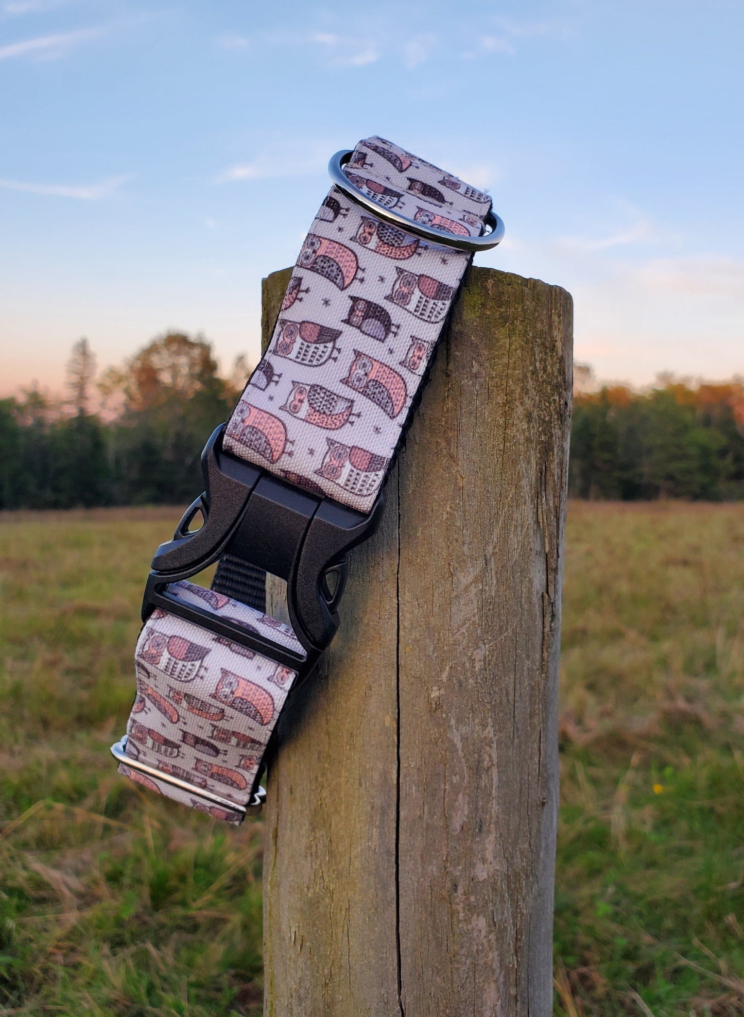Gray Owls Dog Collar