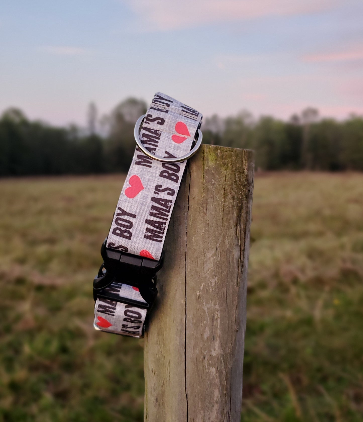 Mama's Boy Dog Collar