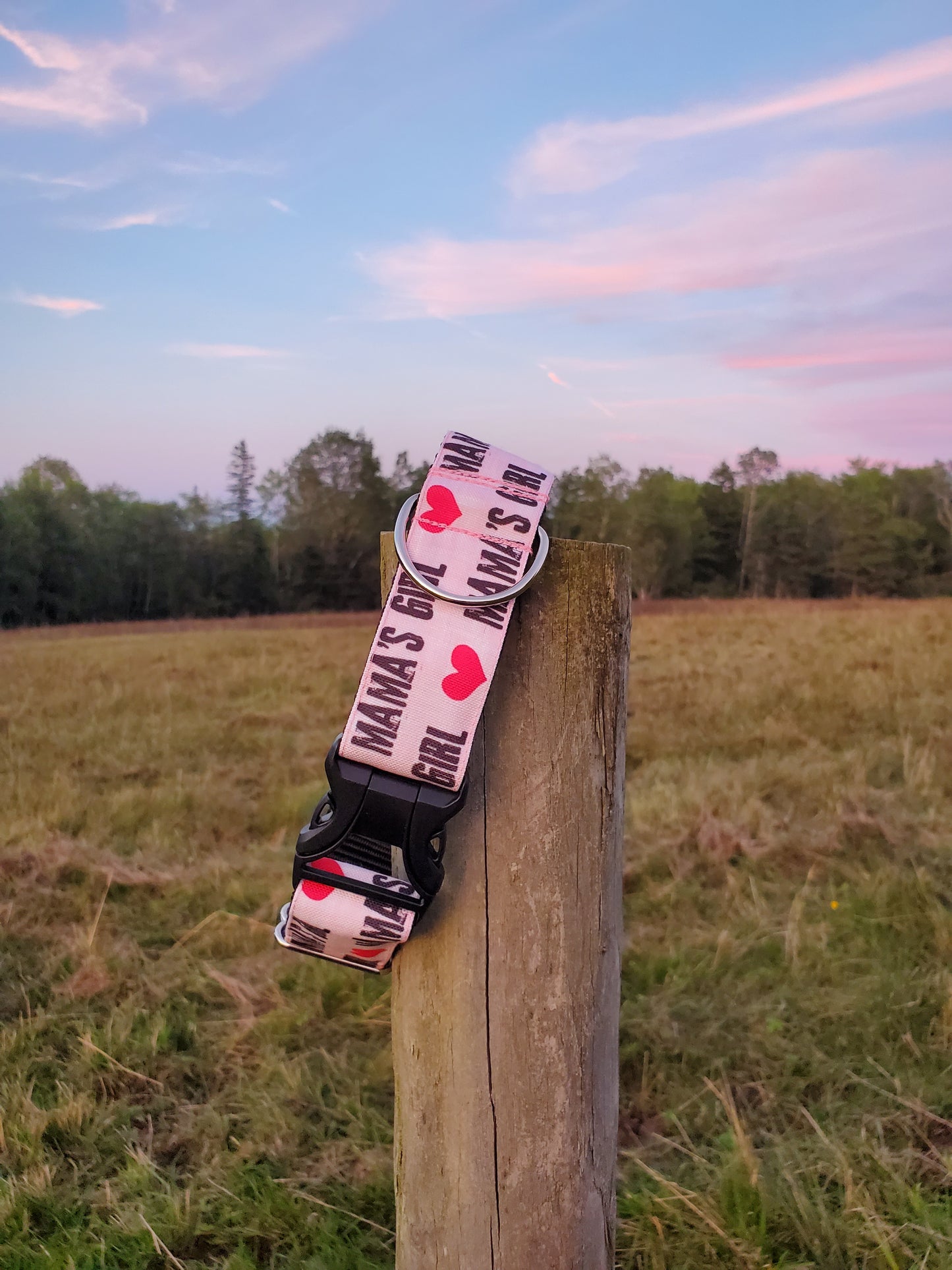 Mama's Girl Dog Collar