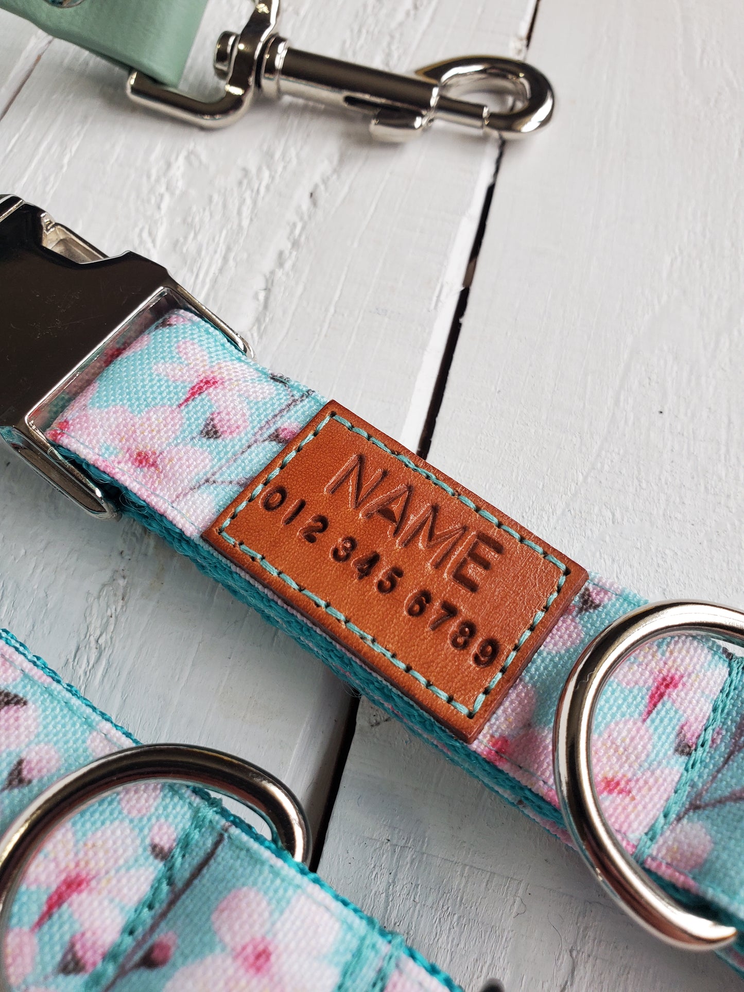Cherry Blossoms Dog Collar