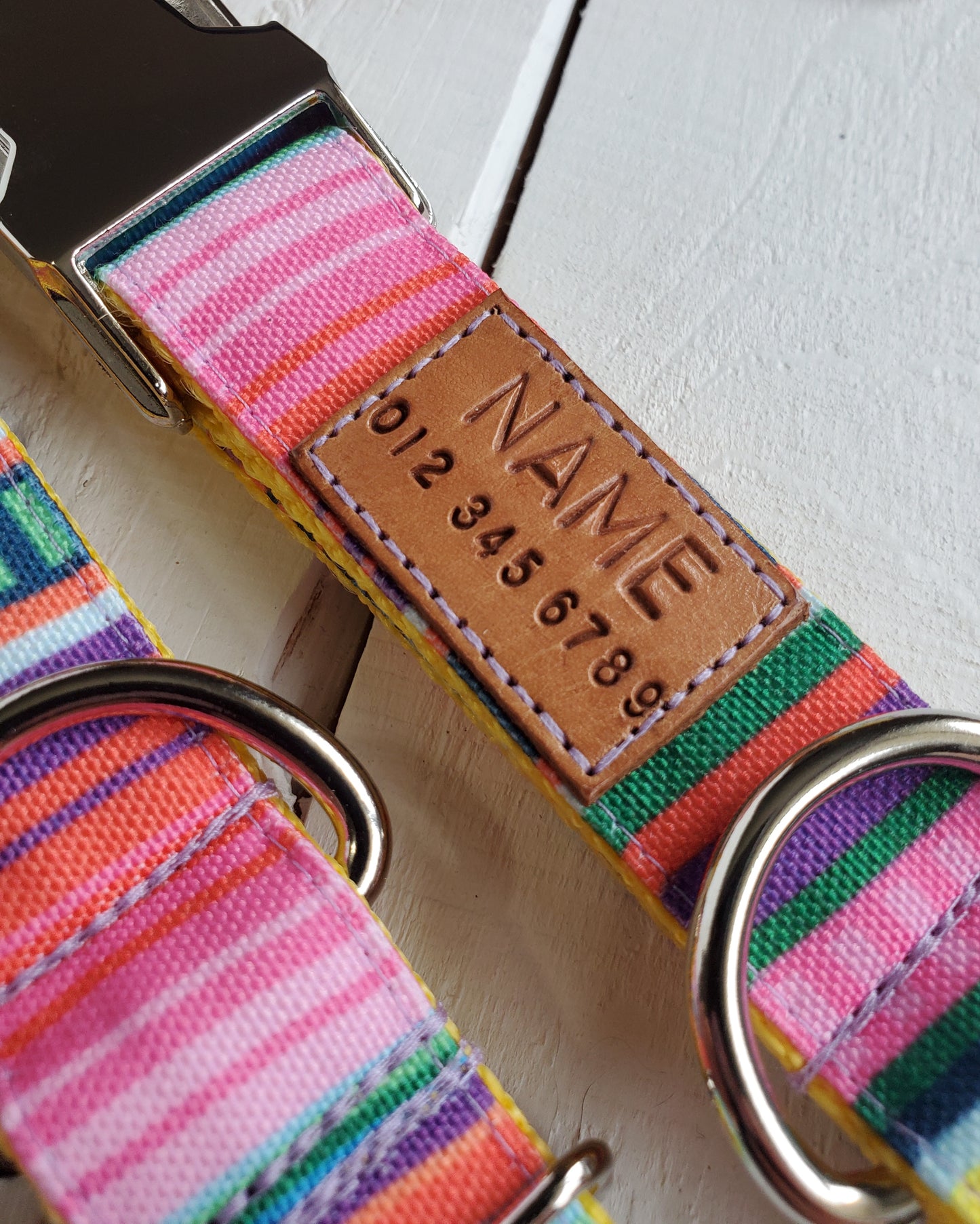 Bright Stripes Dog Collar