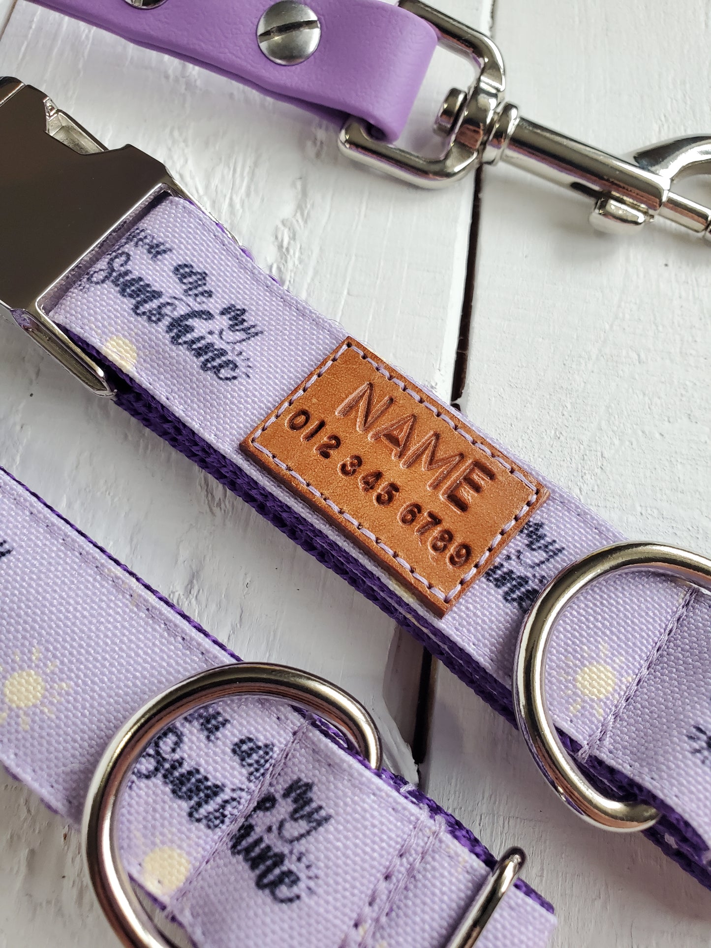 You Are My Sunshine Dog Collar