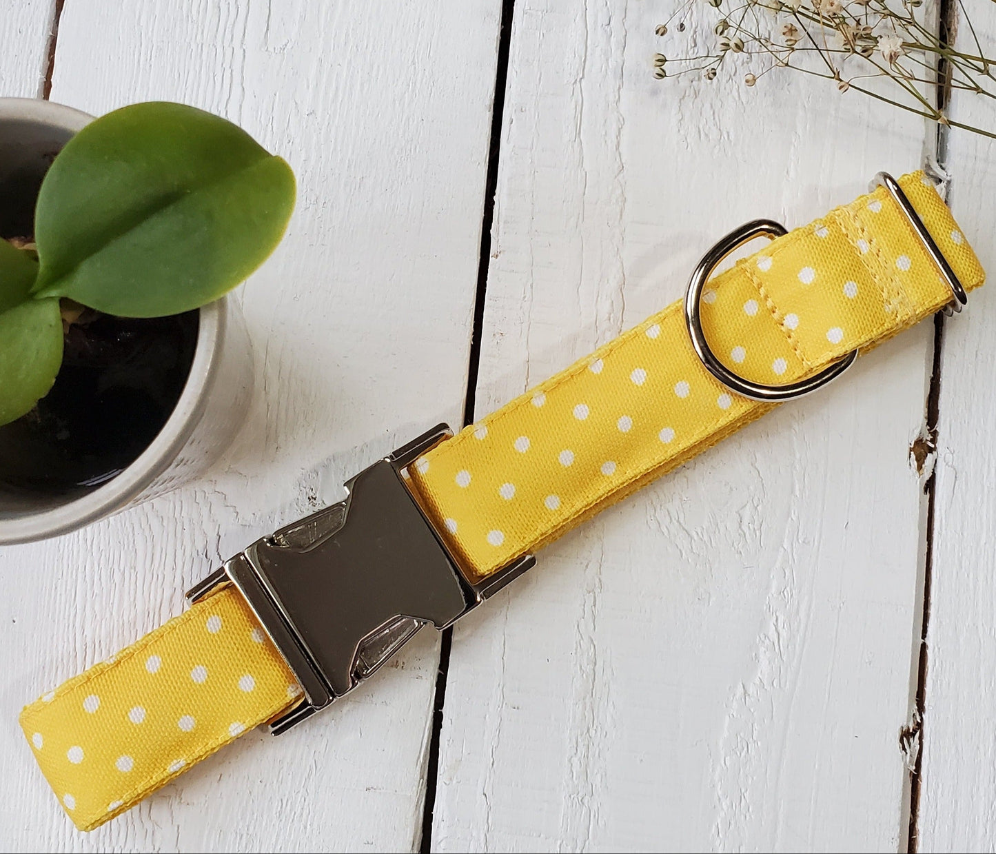 Yellow Polka Dot Dog Collar