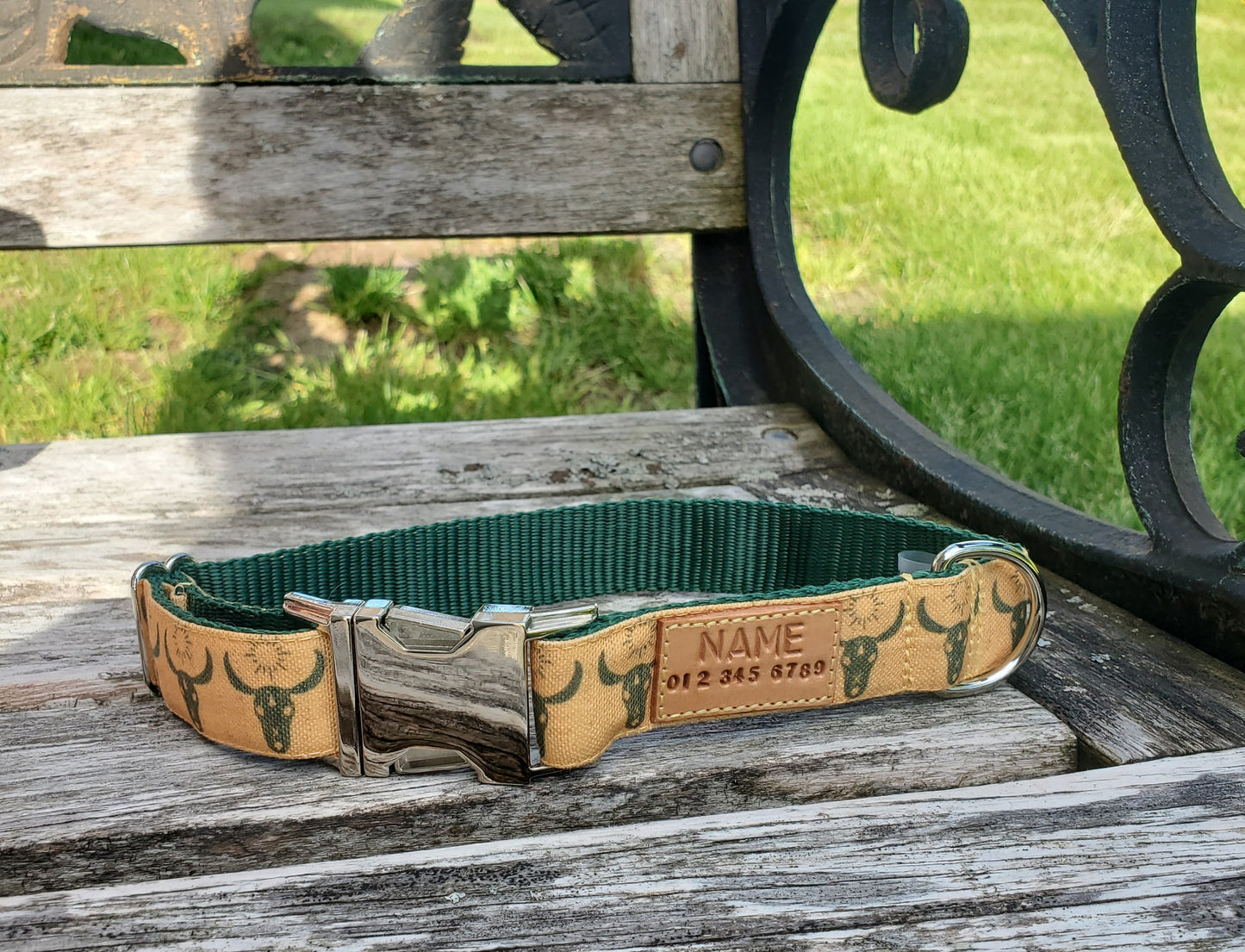 Steer Skulls Dog Collar