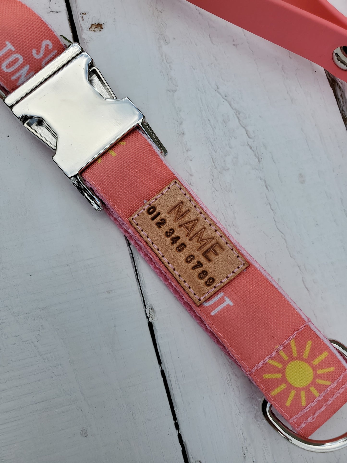 Suns Out Tongues Out Dog Collar
