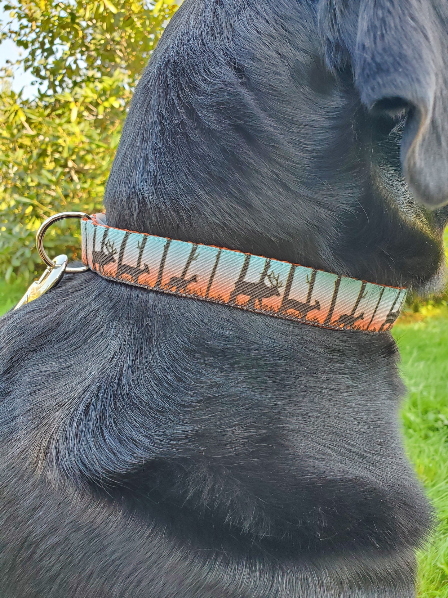 Deer at Dusk Dog Collar