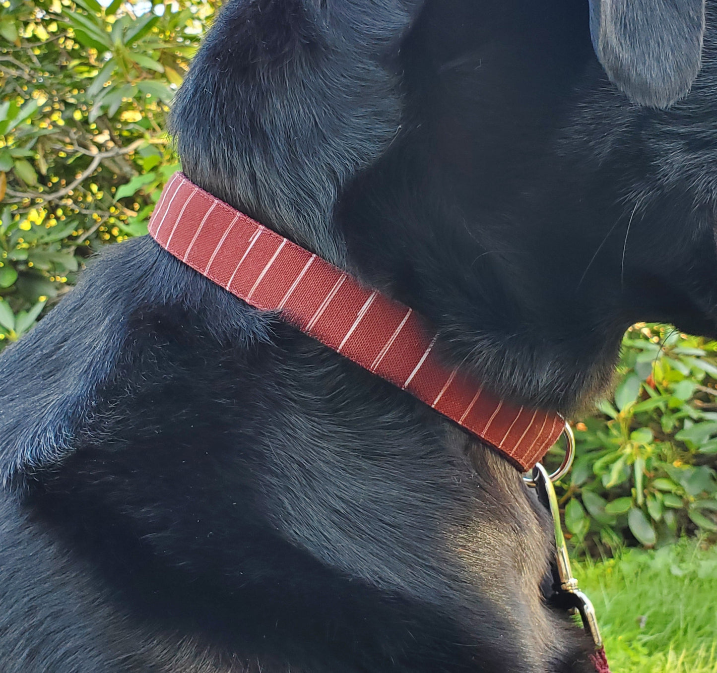 Wine Stripes Dog Collar