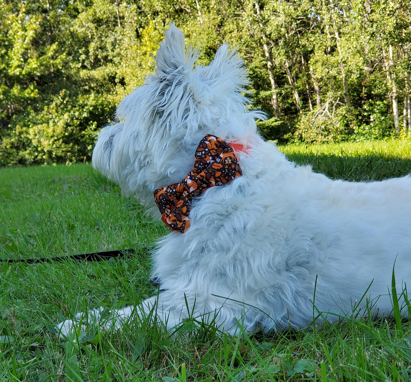 Forest Foxes Over-the-collar Bowtie