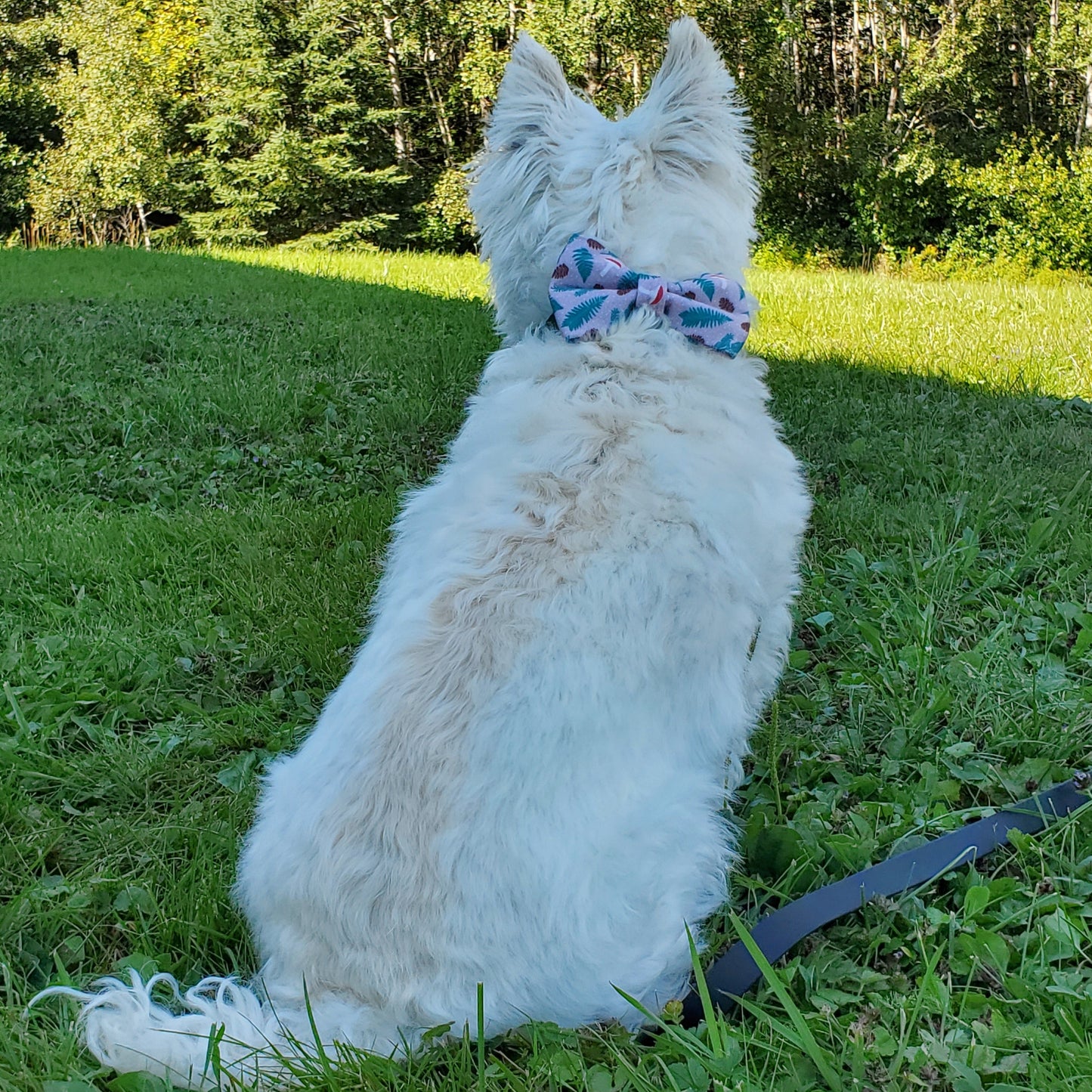 Mushrooms & Pine Over-the-collar Bowtie