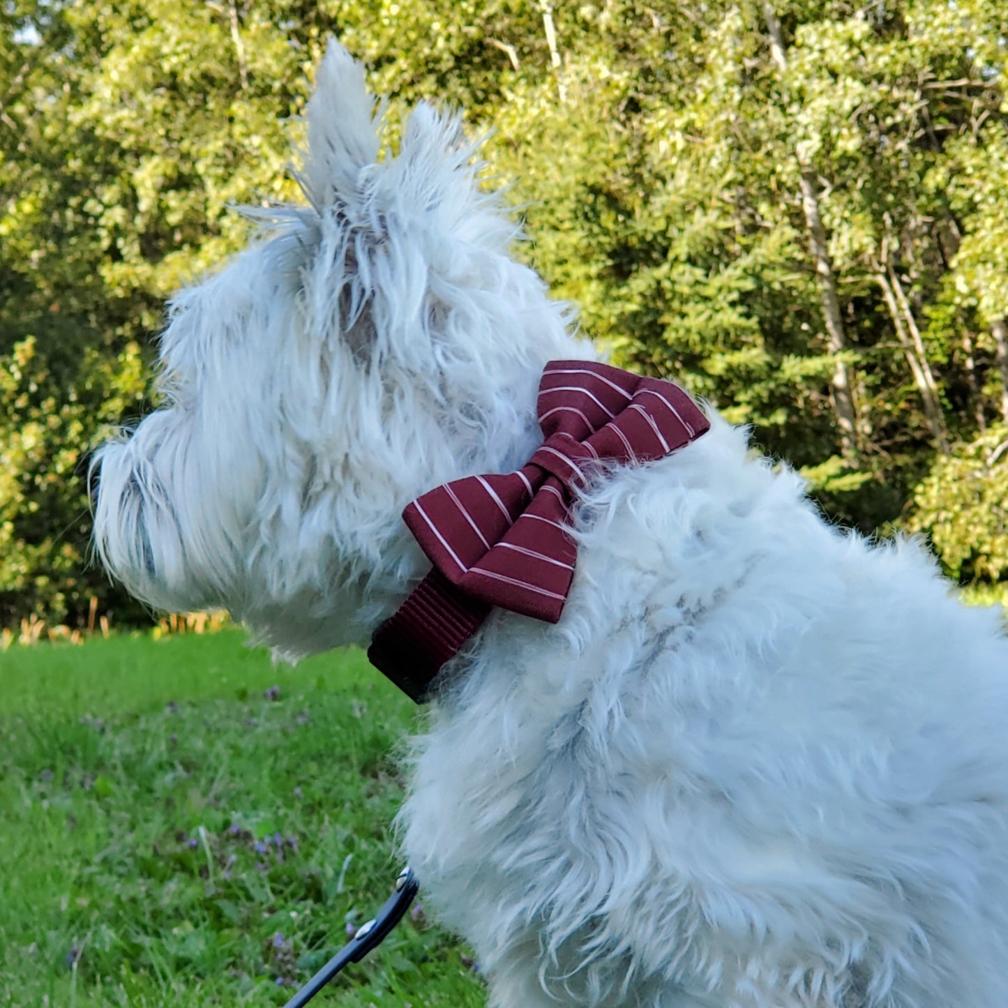 Wine Stripes Over-the-collar Bowtie