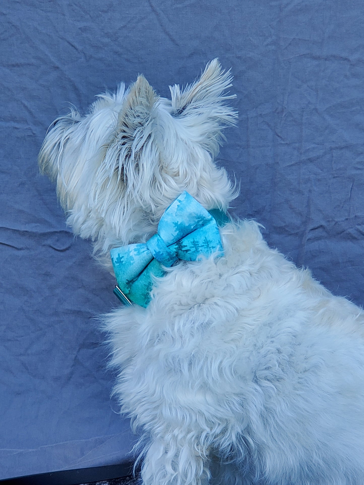 Aqua Forest Over-the-collar Bowtie