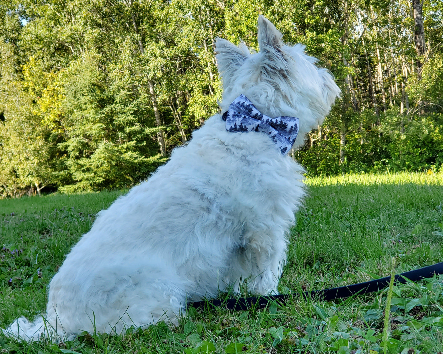 Forest Mist Over-the-collar Bowtie
