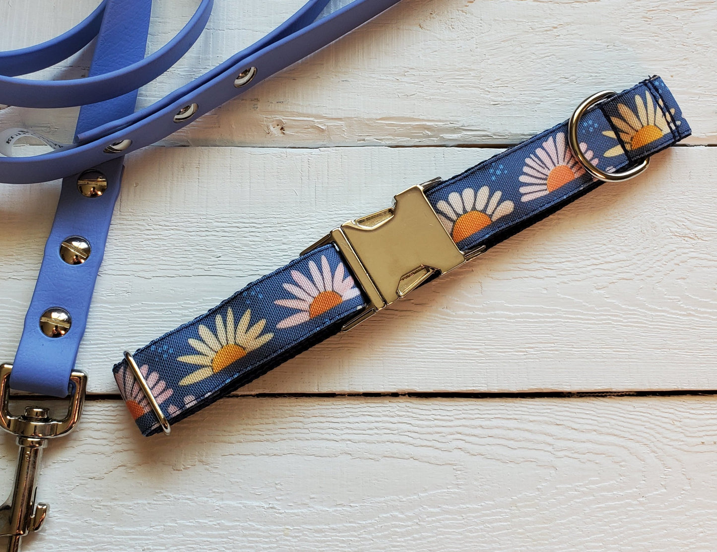 Daisy Sunrise Dog Collar