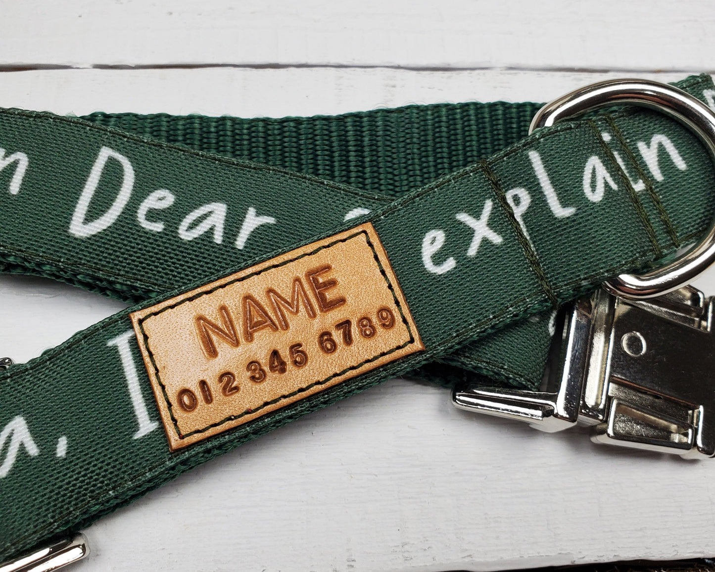 Dear Santa, I Can Explain Dog Collar