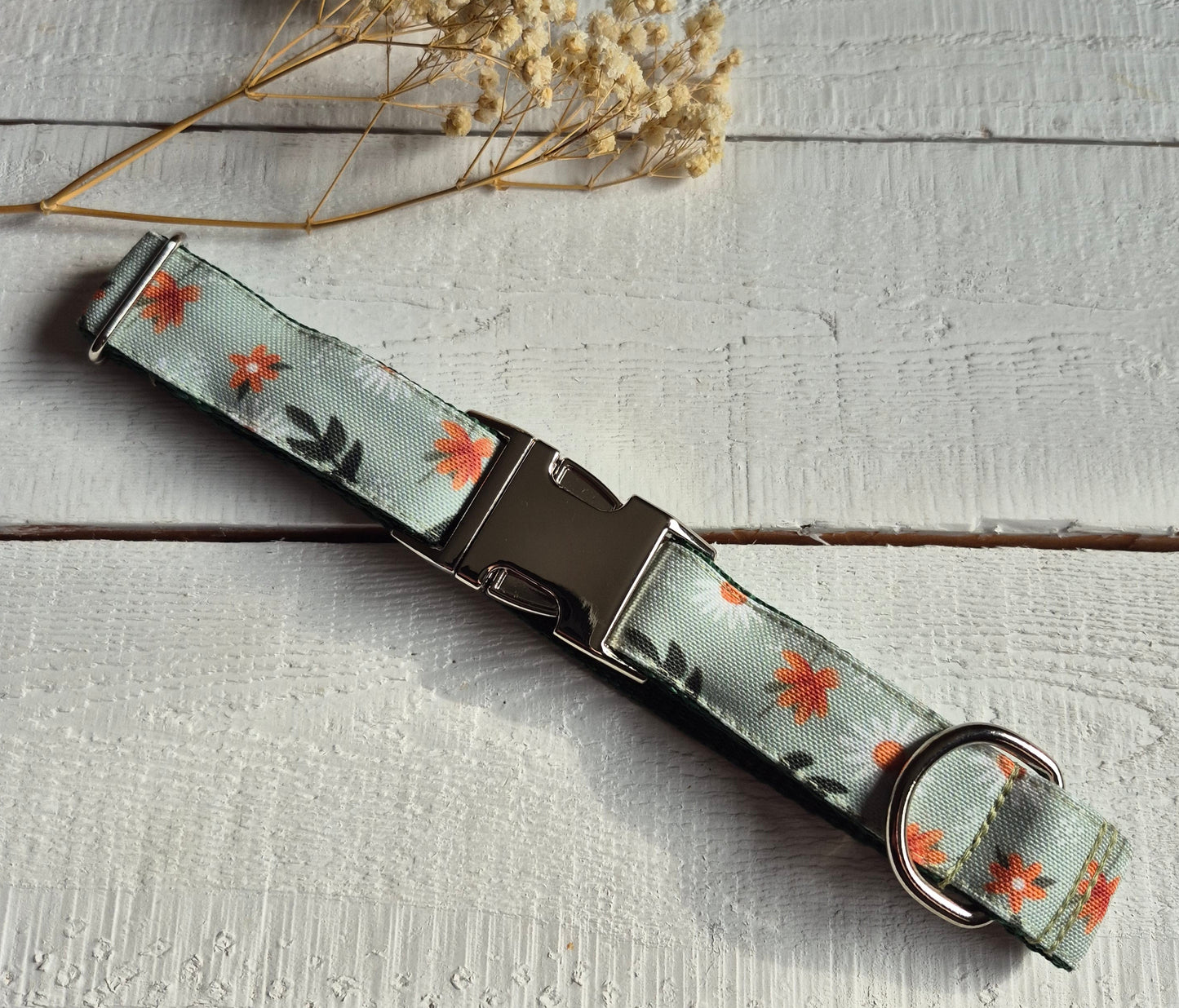 Daisy Meadow Dog Collar