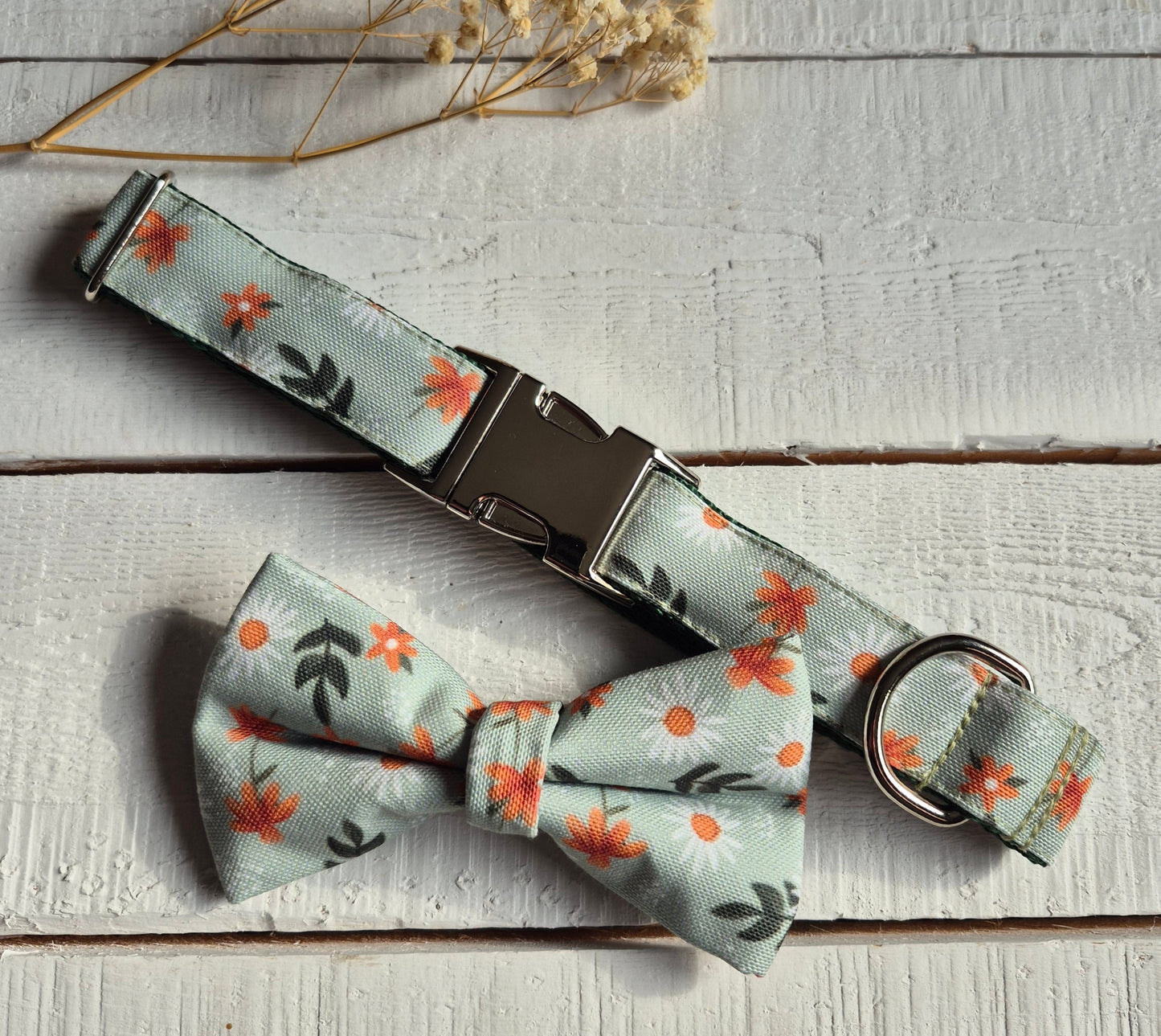 Daisy Meadow Dog Collar
