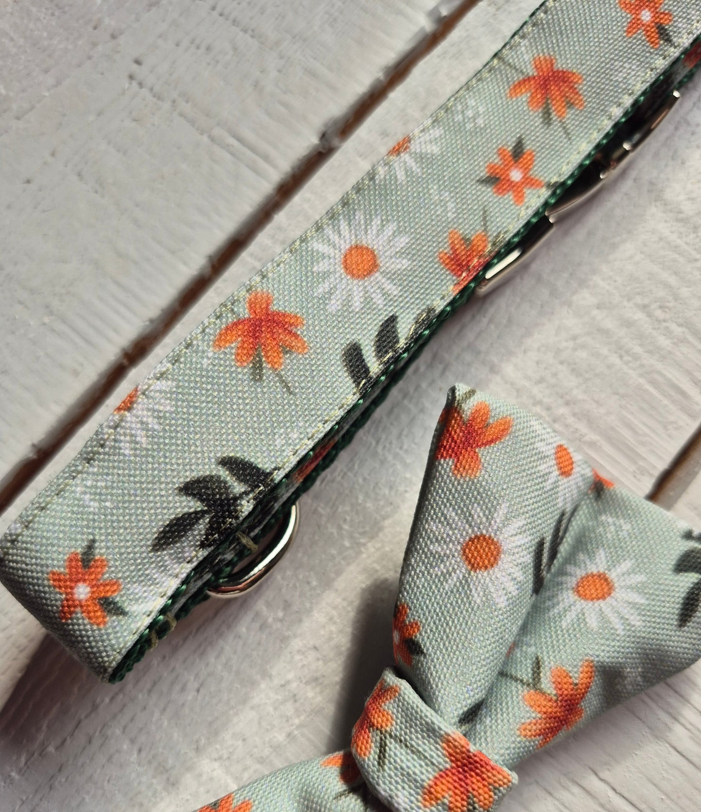 Daisy Meadow Dog Collar