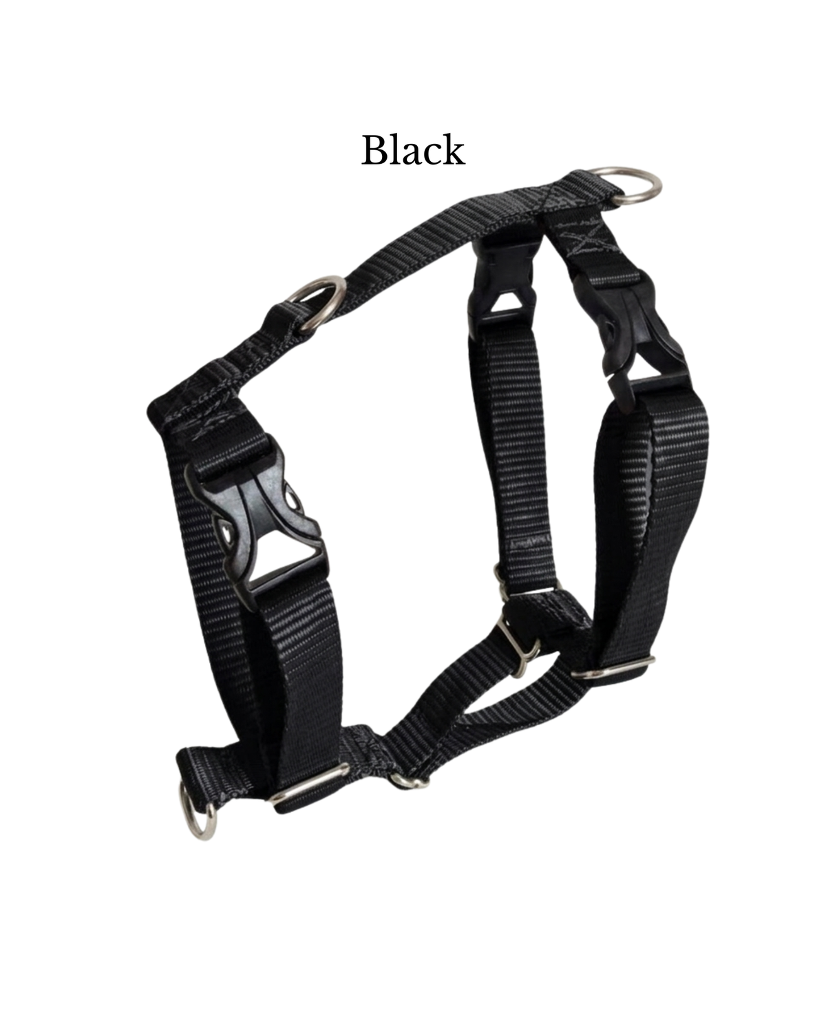 Everyday Walking Harness
