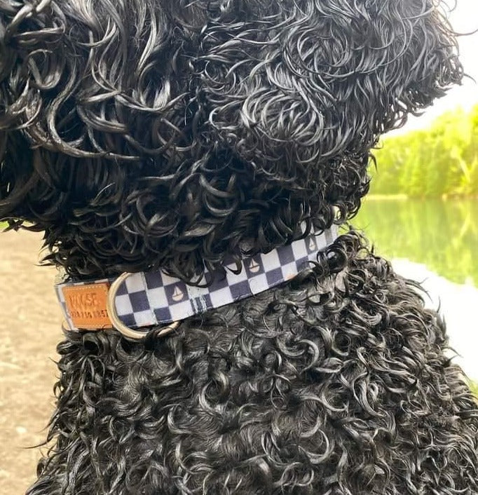 Checkered Sailboats Dog Collar