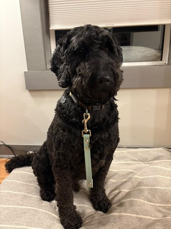 BioThane® Leash Tab