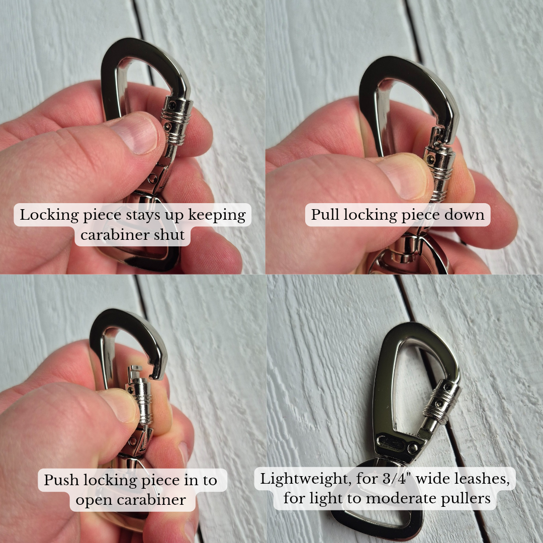 5ft Leash - Handle Matches Any Collar