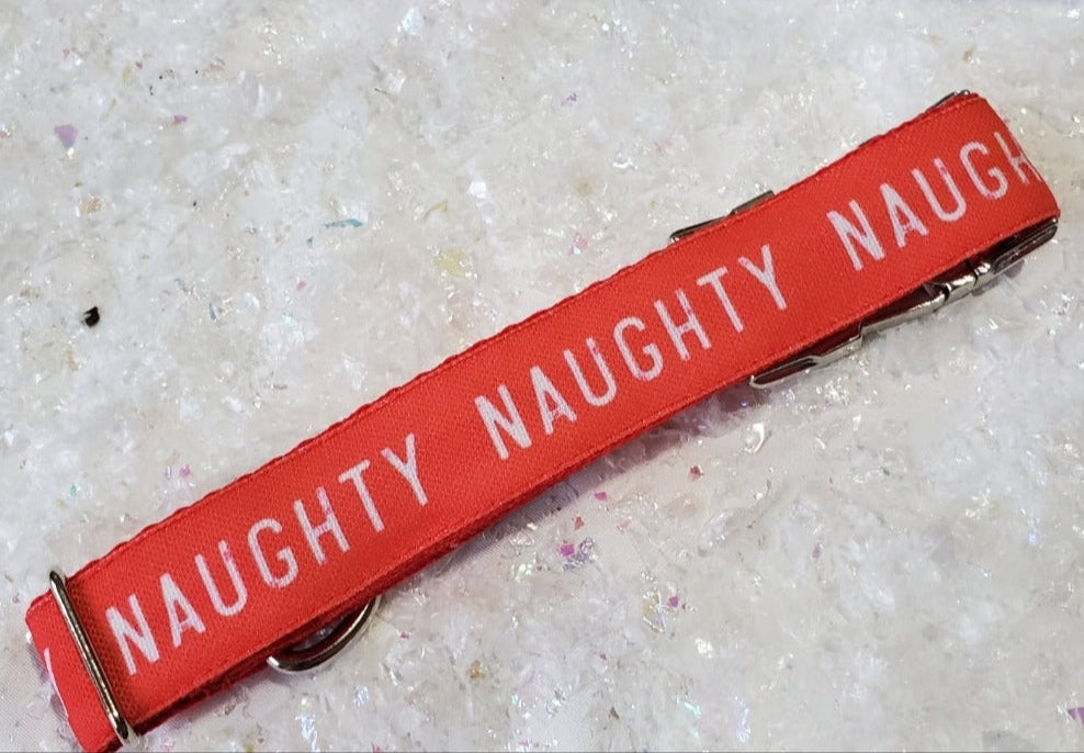 I've Been Naughty Dog Collar