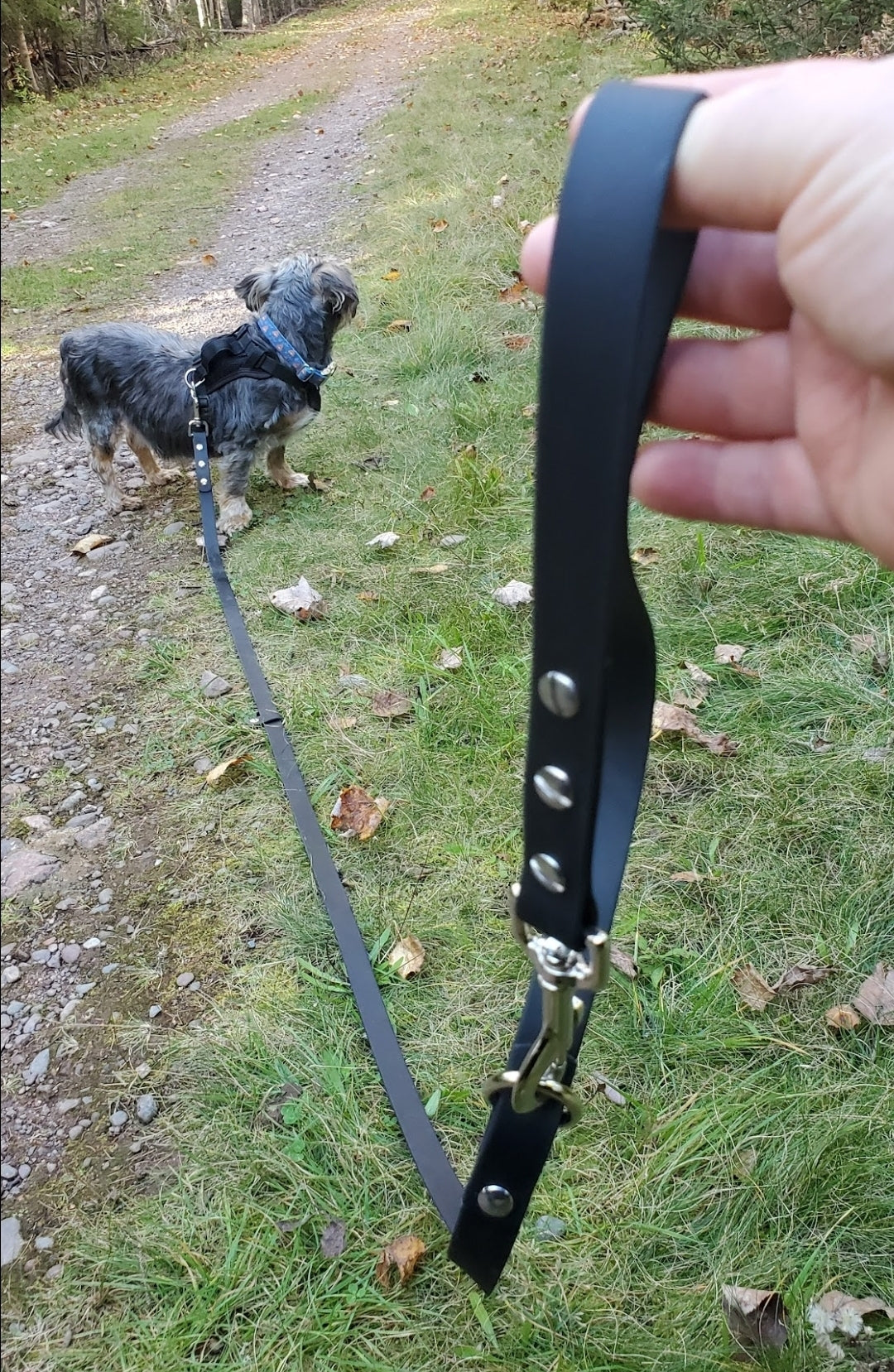 Multiuse Handsfree BioThane® Leash