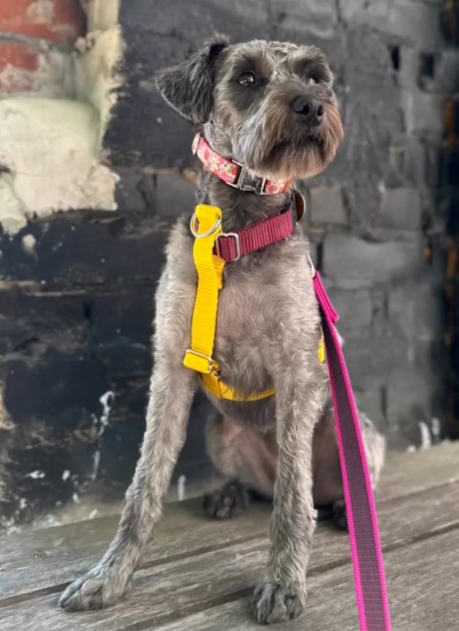 Switch out your color! Top or bottom piece only for harness