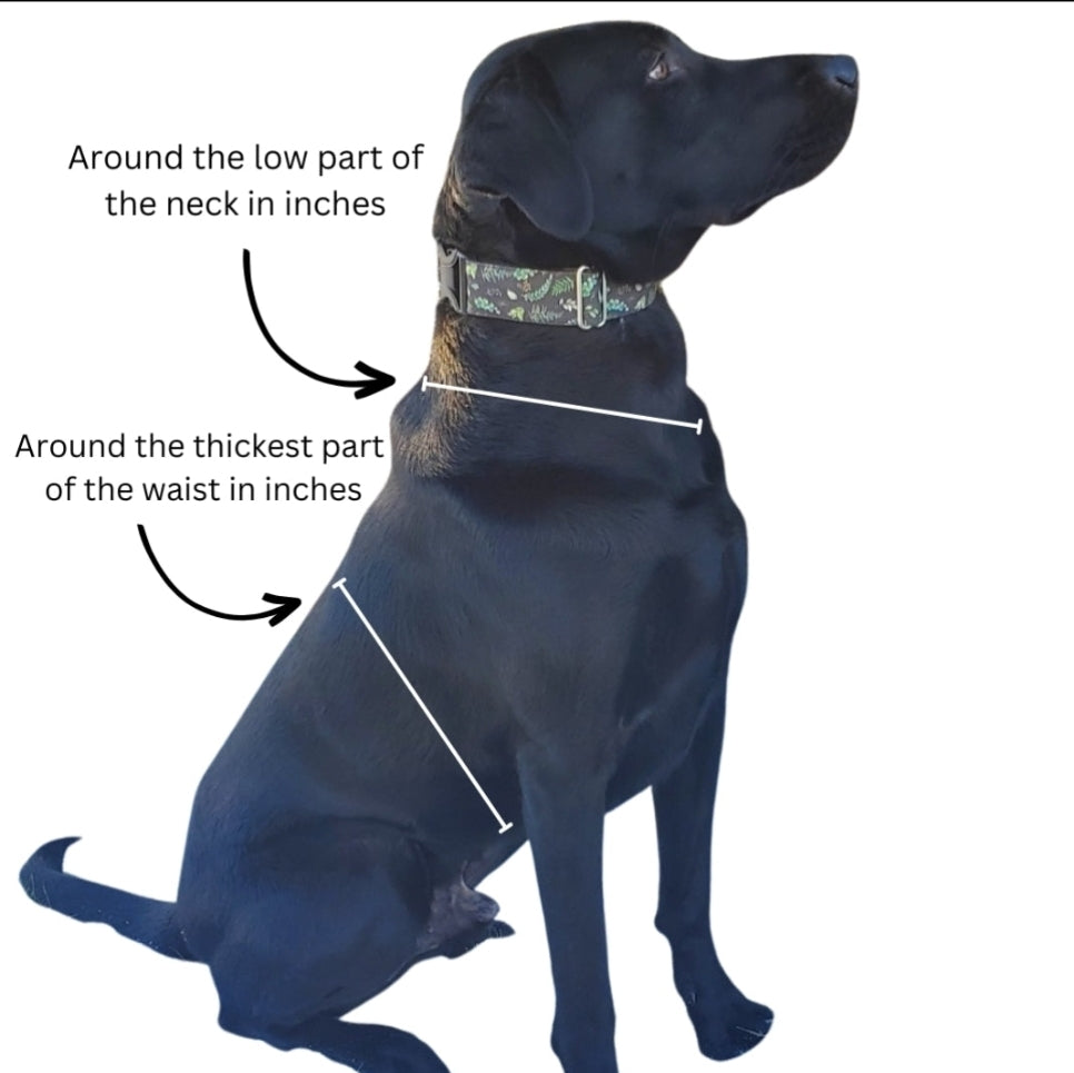 Extra Top Piece or Bottom Piece for Harnesses - *swap out your colors