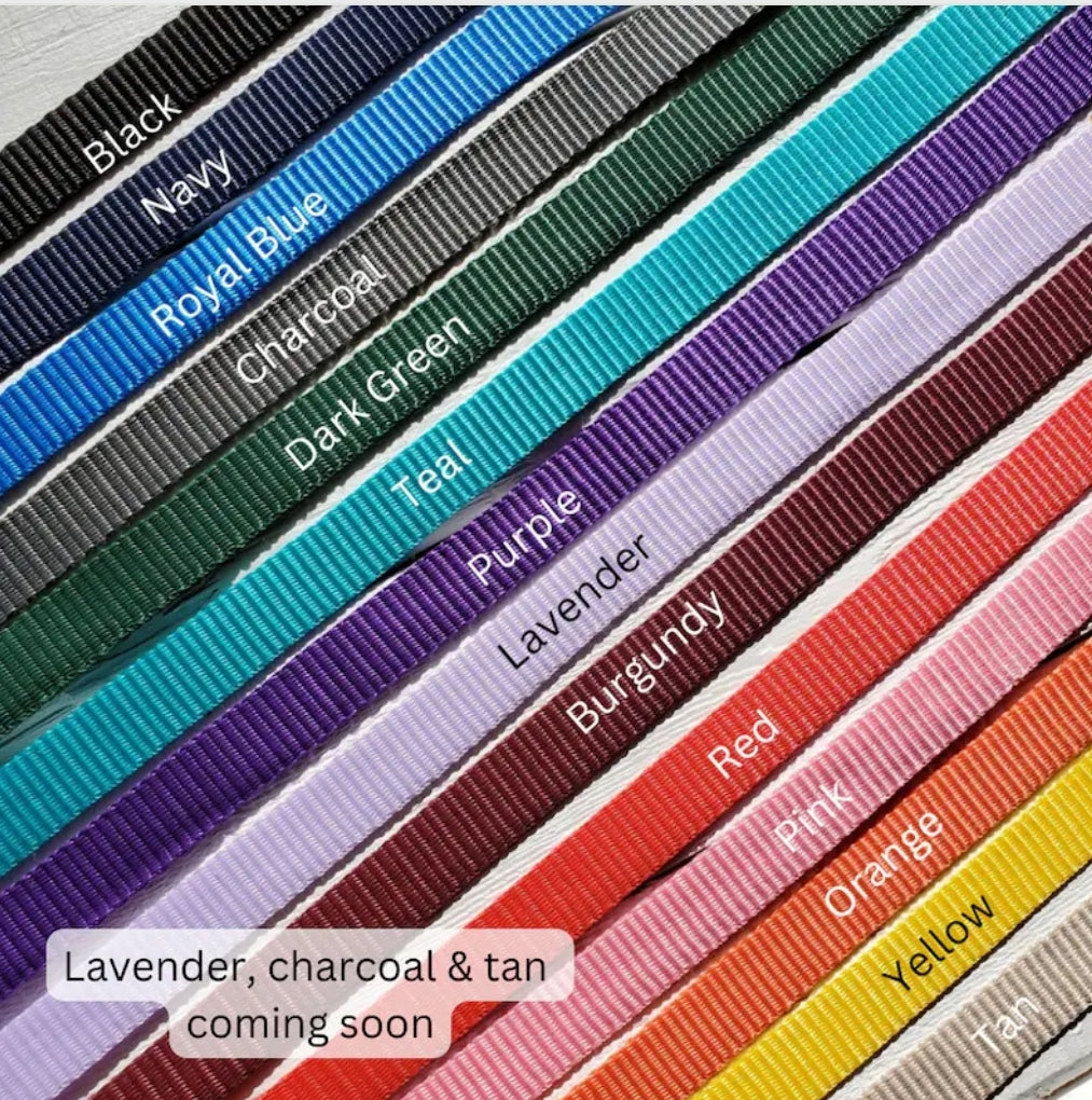 Choose Your Colors Walking Harness
