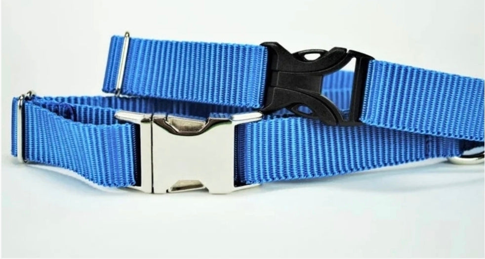 Palm Trees Sunset Dog Collar