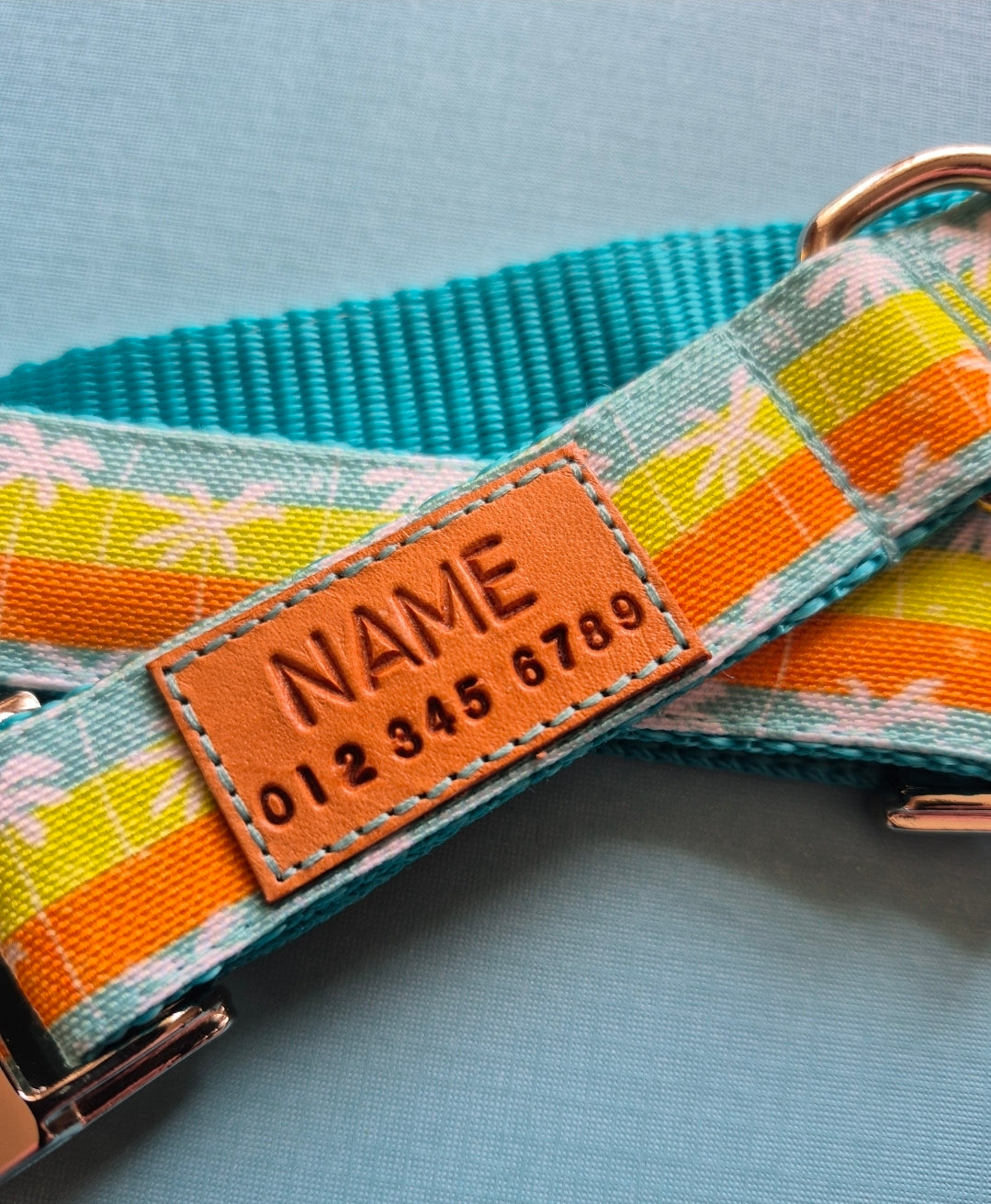 Palm Trees Sunset Dog Collar