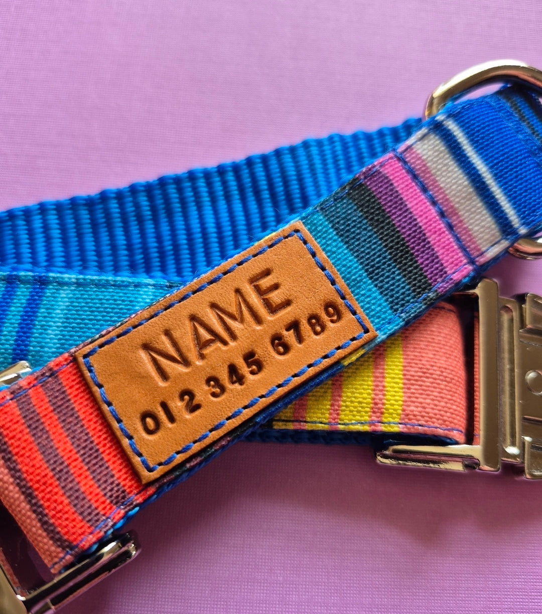 Fiesta Stripes Dog Collar