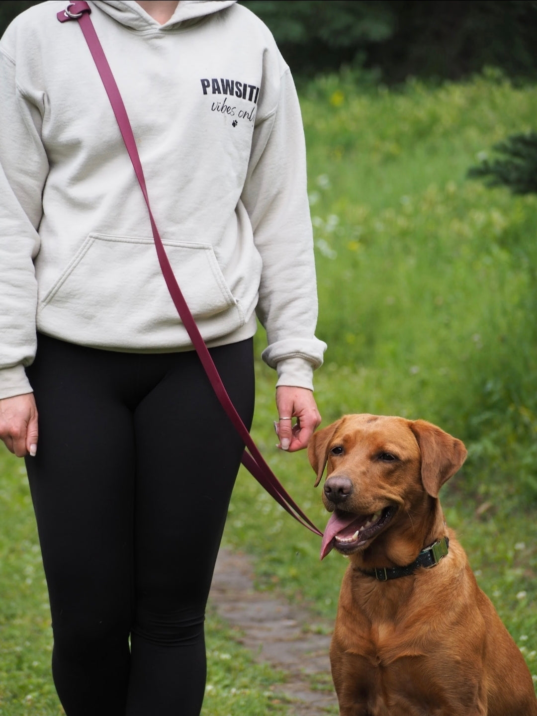 Multiuse Handsfree BioThane® Leash