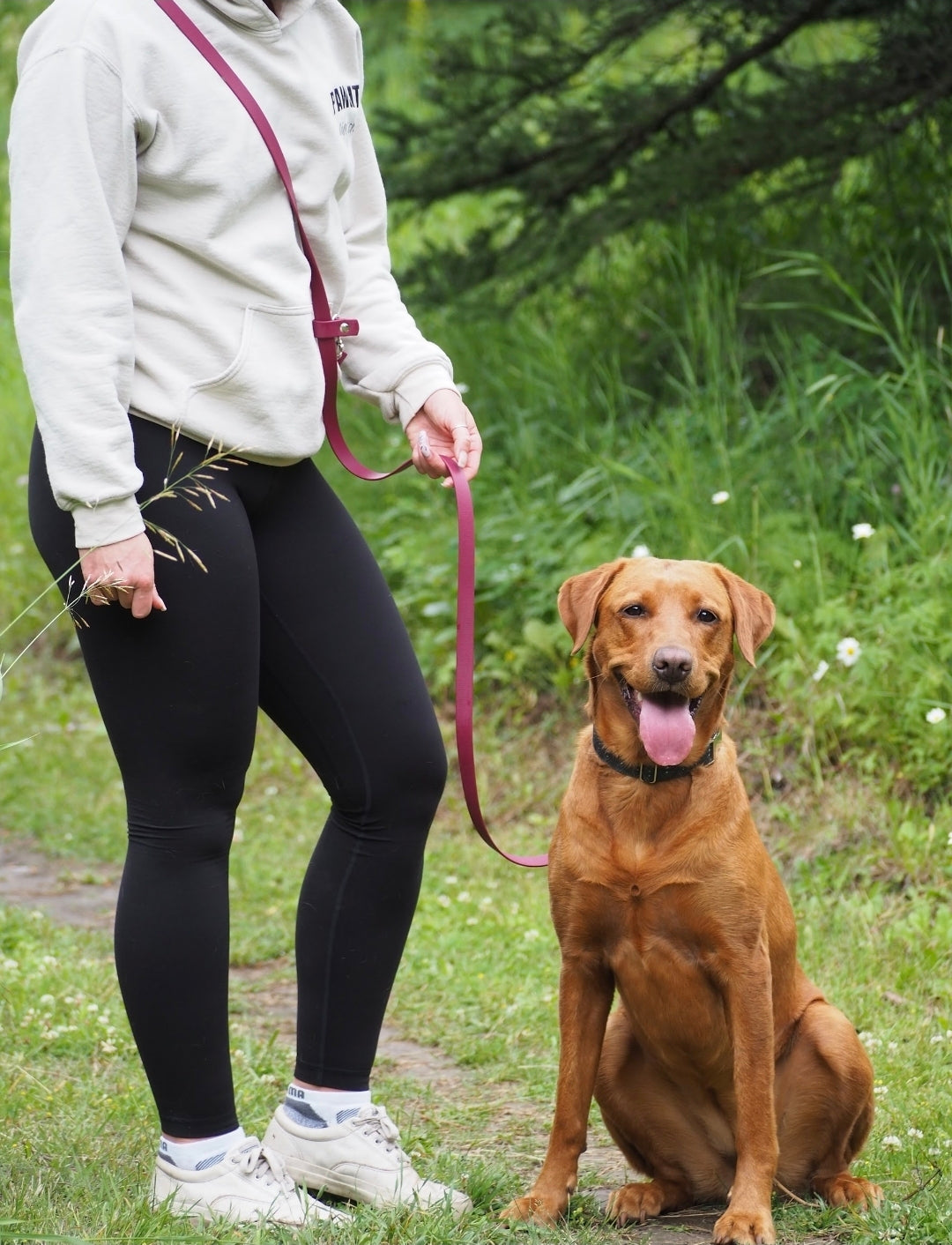 Multiuse Handsfree BioThane® Leash