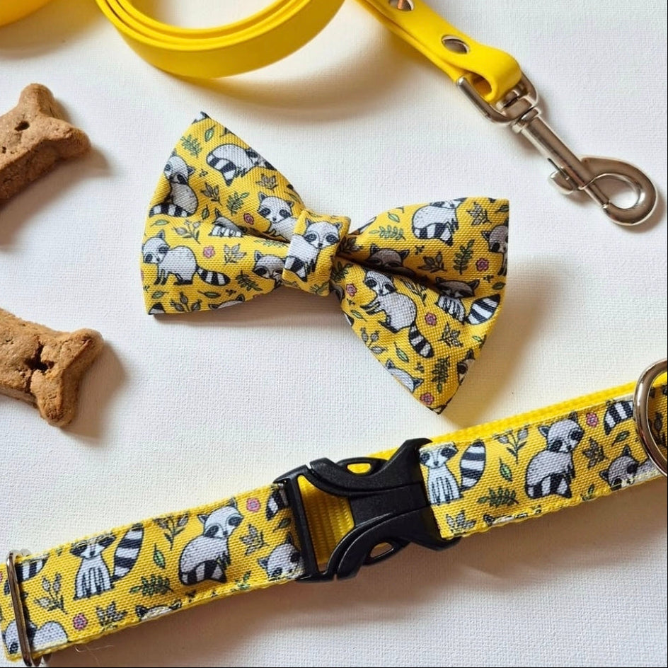 Little Racoons Dog Collar