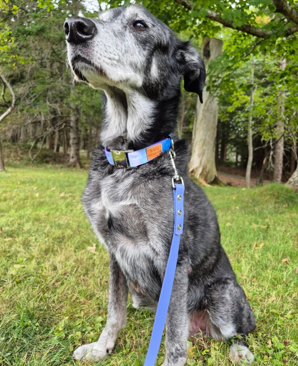 Purple Watercolor Dog Collar