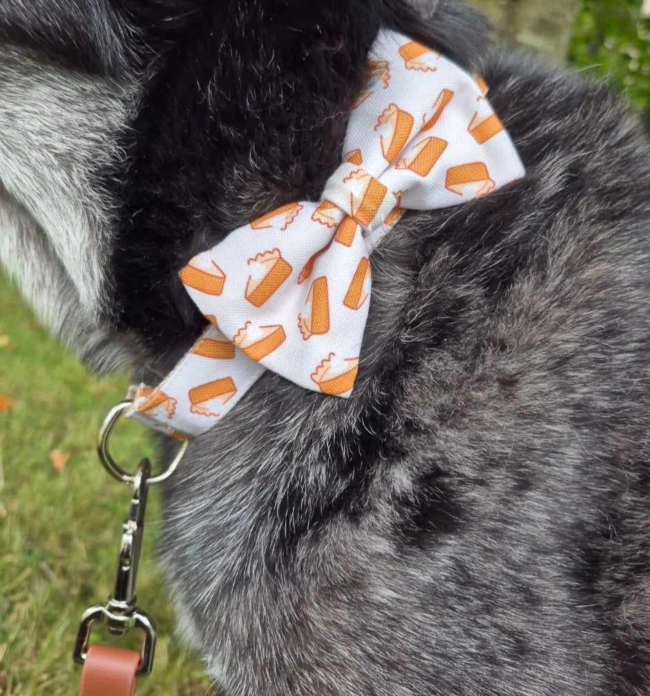 Pumpkin Pies Dog Collar