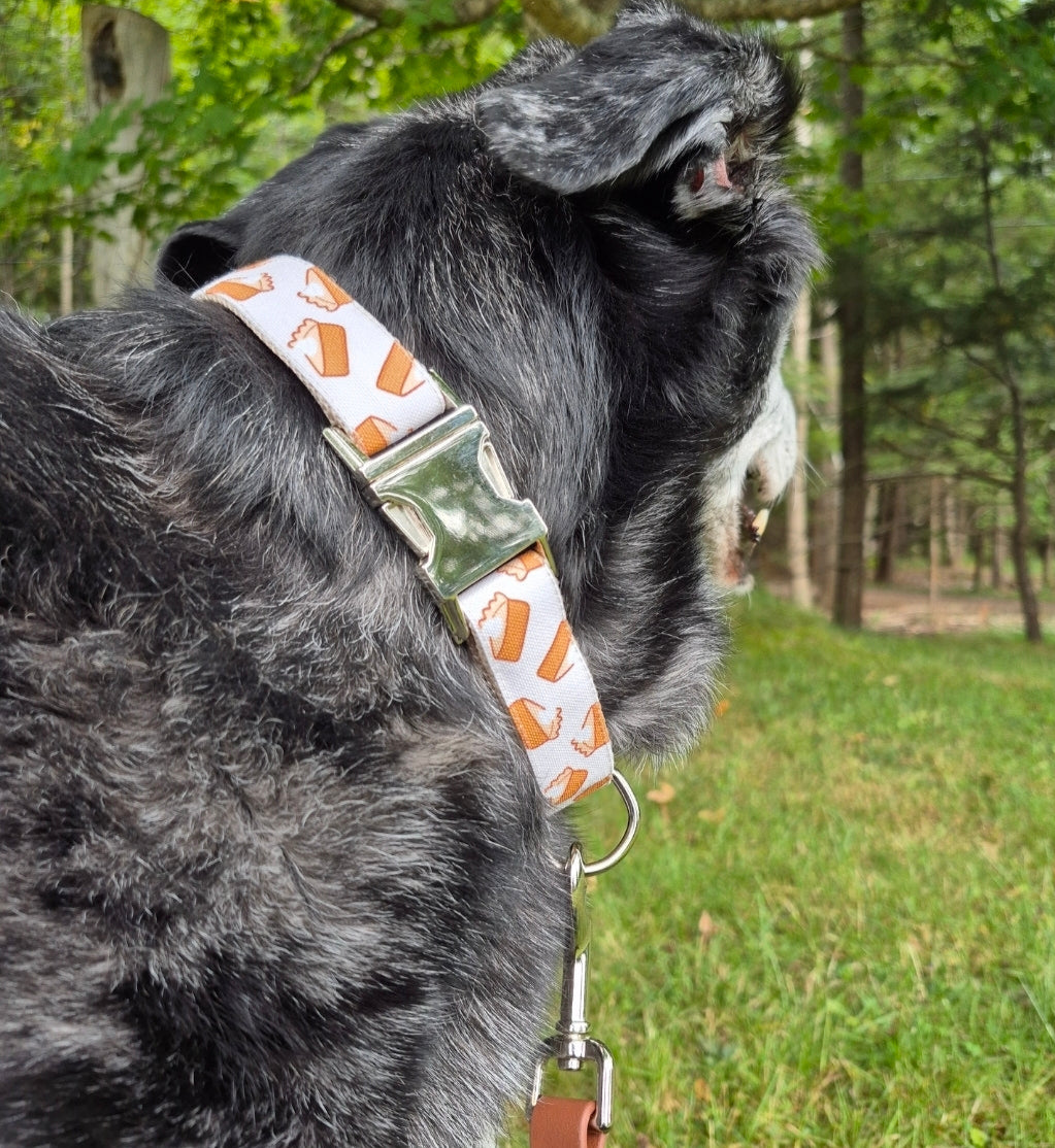 Pumpkin Pies Dog Collar