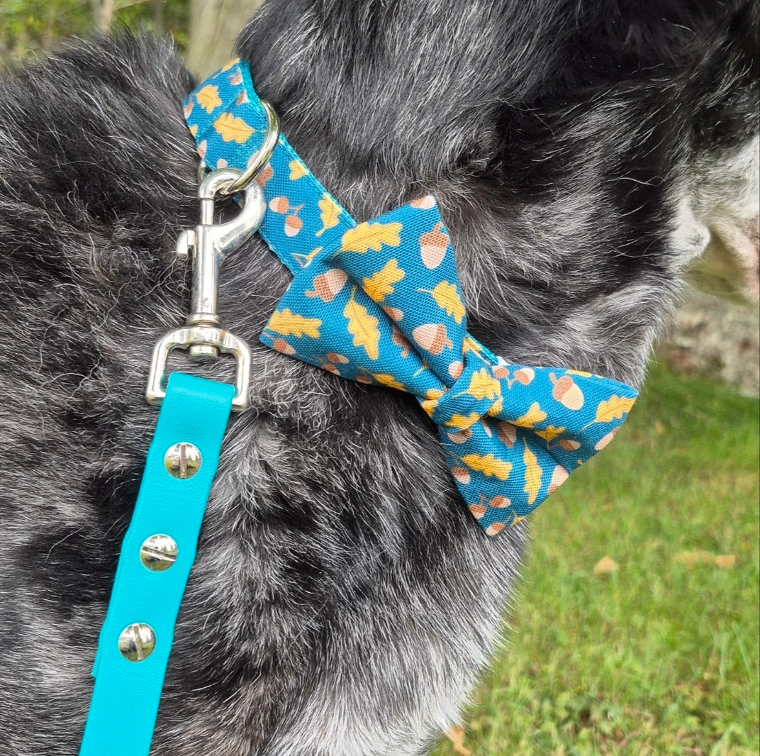 Golden Leaves & Acorns Dog Collar