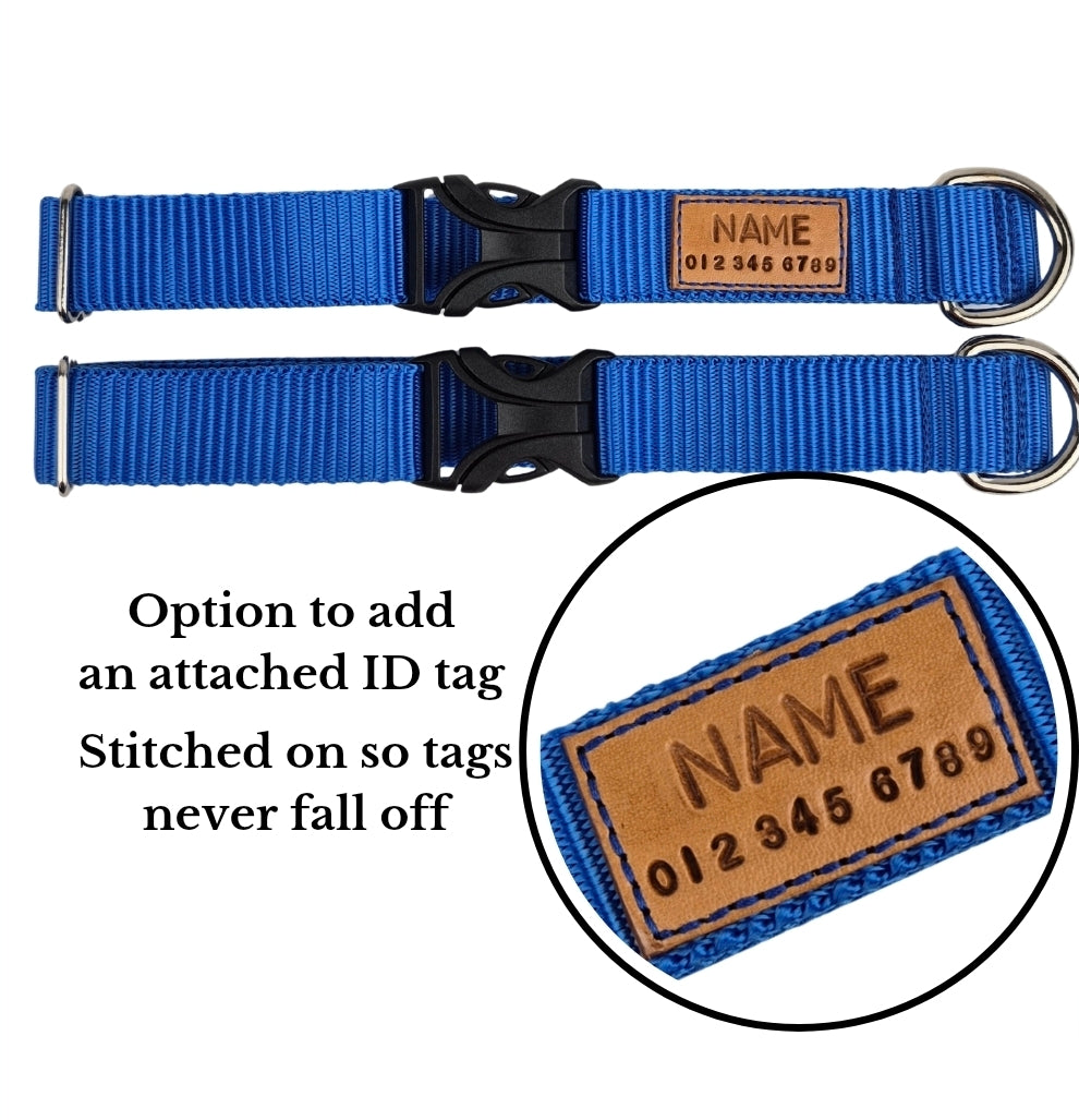 Green Forest Mist Dog Collar