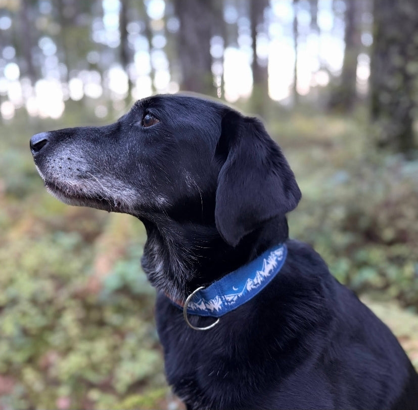 The Wilderness Collar - choose your color
