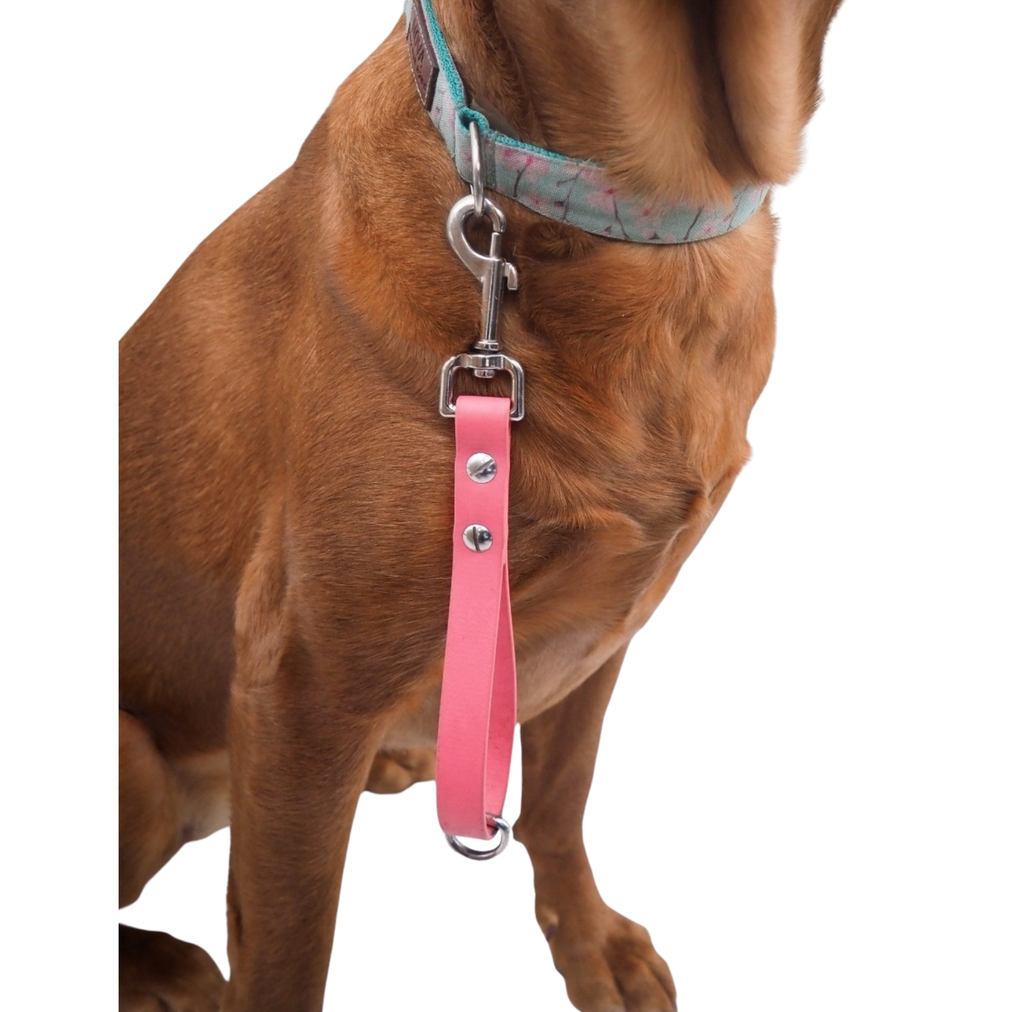 Waterproof Leash Tab
