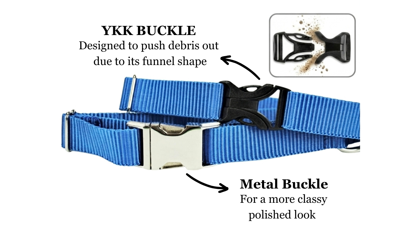 Sage Forest Dog Collar